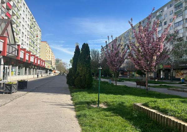 Na predaj obchodný priestor s presklením na terasu.