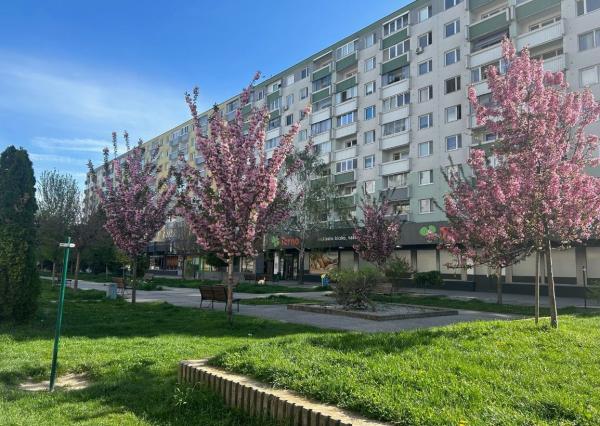 Predaj komerčné a prevádzkové priestory Bratislava-Vrakuňa.