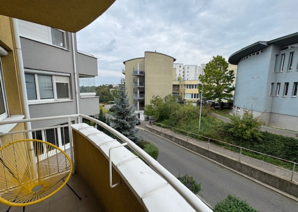 3 izb.,pôvodne 4 izbový byt Slávičie údolie s garážou.