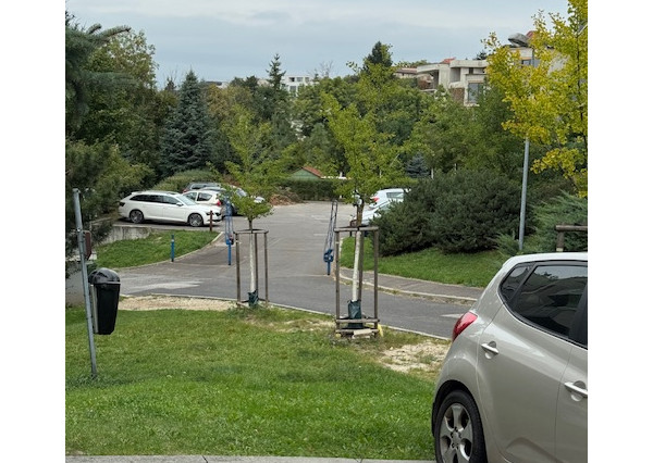 3 izb.,pôvodne 4 izbový byt Slávičie údolie s garážou.