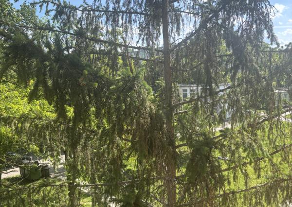 Ponúkame na predaj 3 izbový byt v Ružinove Exnárova ul.
